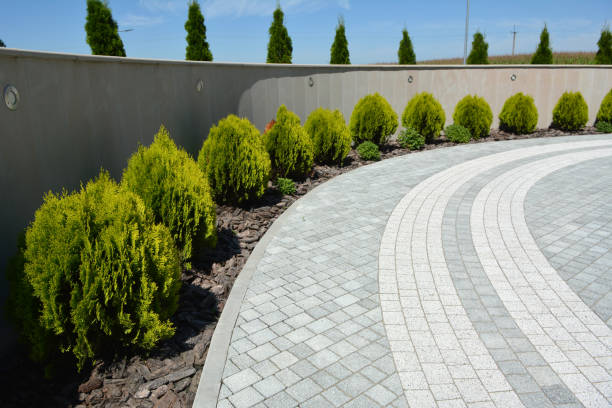 Professional Driveway Pavers in Spring Hope, NC